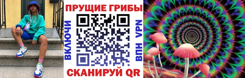 где купить наркотик Давлеканово Псилоцибиновые грибы Psilocybine cubensis